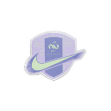 Cargar imagen en el visor de la galería, Nike Phantom GX 2 Elite FG NU1