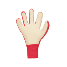 Load image into Gallery viewer, Nike Dynamic Fit Goalkeeper Gloves