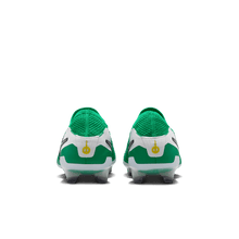 Load image into Gallery viewer, Nike Tiempo Legend 10 Elite FG LV8