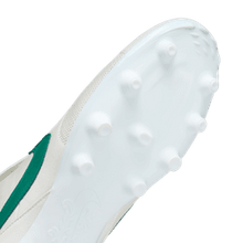 Cargar imagen en el visor de la galería, The Nike Premier 3 FG