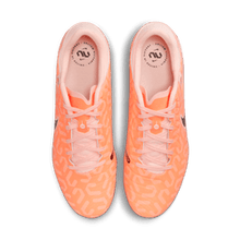 Cargar imagen en el visor de la galería, Nike Tiempo Legend 10 Academy FG/MG