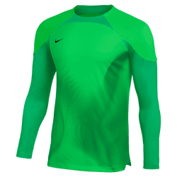 Nike Mens Dri-FIT ADV Gardien 4 Goalkeeper Jersey