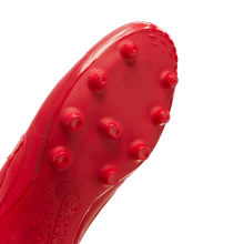 Load image into Gallery viewer, The Nike Premier 3 FG