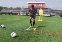 Load image into Gallery viewer, Kwik Goal Mini Ladder