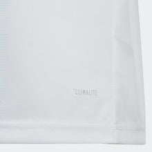 Load image into Gallery viewer, Youth Argentina 19/20 Home Jersey