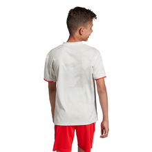 Load image into Gallery viewer, Youth adidas Juventus Away Jersey 19/20