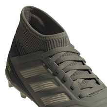 Load image into Gallery viewer, adidas Predator 19.3 FG Junior