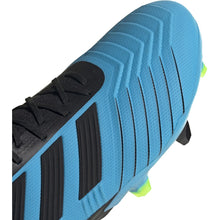 Load image into Gallery viewer, adidas Predator 19.1 FG