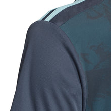 Load image into Gallery viewer, Men's Argentina Away Jersey 20/21