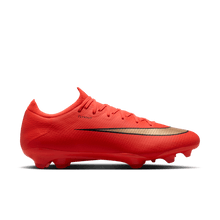 Load image into Gallery viewer, Nike Mercurial Vapor 17 Pro FG
