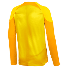 Load image into Gallery viewer, Nike Youth Dri-FIT ADV Gardien 4 Goalkeeper Jersey
