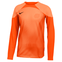 Load image into Gallery viewer, Nike Youth Dri-FIT ADV Gardien 4 Goalkeeper Jersey
