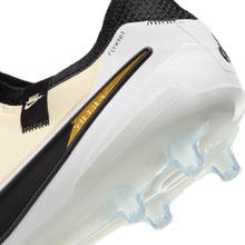 Load image into Gallery viewer, Nike Tiempo Legend 10 Elite AG-PRO
