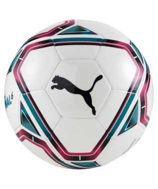 Puma Team Final