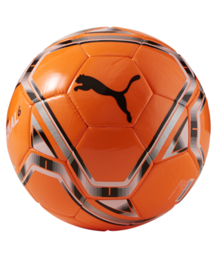 Puma Final