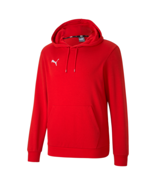 Puma TeamGoal 23 Casuals Hoody Jr