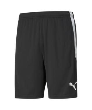 Puma teamLIGA Training Shorts