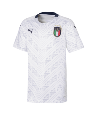 Youth Puma Italy FIGC Away Jersey