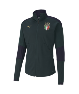Men's Puma FIGC Training Jacket