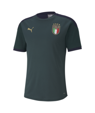 Men's Puma FIGC Italia Training Jersey