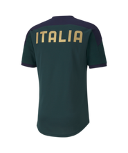 Load image into Gallery viewer, Men&#39;s Puma FIGC Italia Training Jersey
