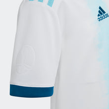 Load image into Gallery viewer, Youth Argentina 19/20 Home Jersey
