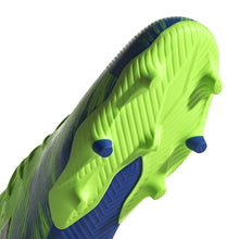 Load image into Gallery viewer, adidas Nemeziz 19.3 FG
