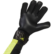 Load image into Gallery viewer, adidas Predator 20 Match Gloves
