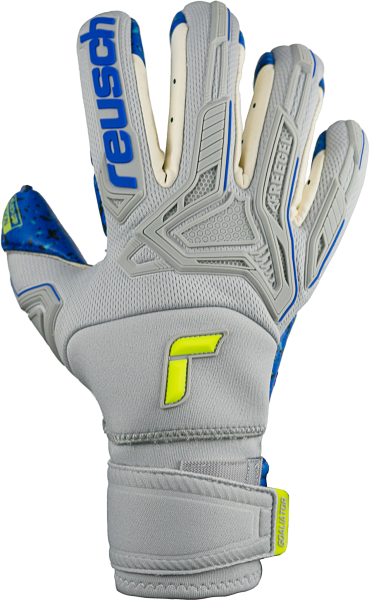 Reusch Attrakt Freegel Fusion Ortho-Tec Goaliator